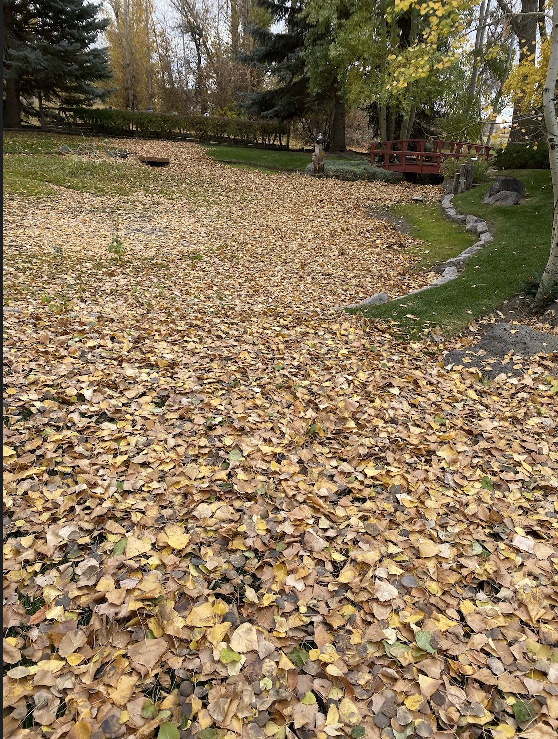Robinson Lawn Care tech mowing an emerald green lawn with the sunset in the background